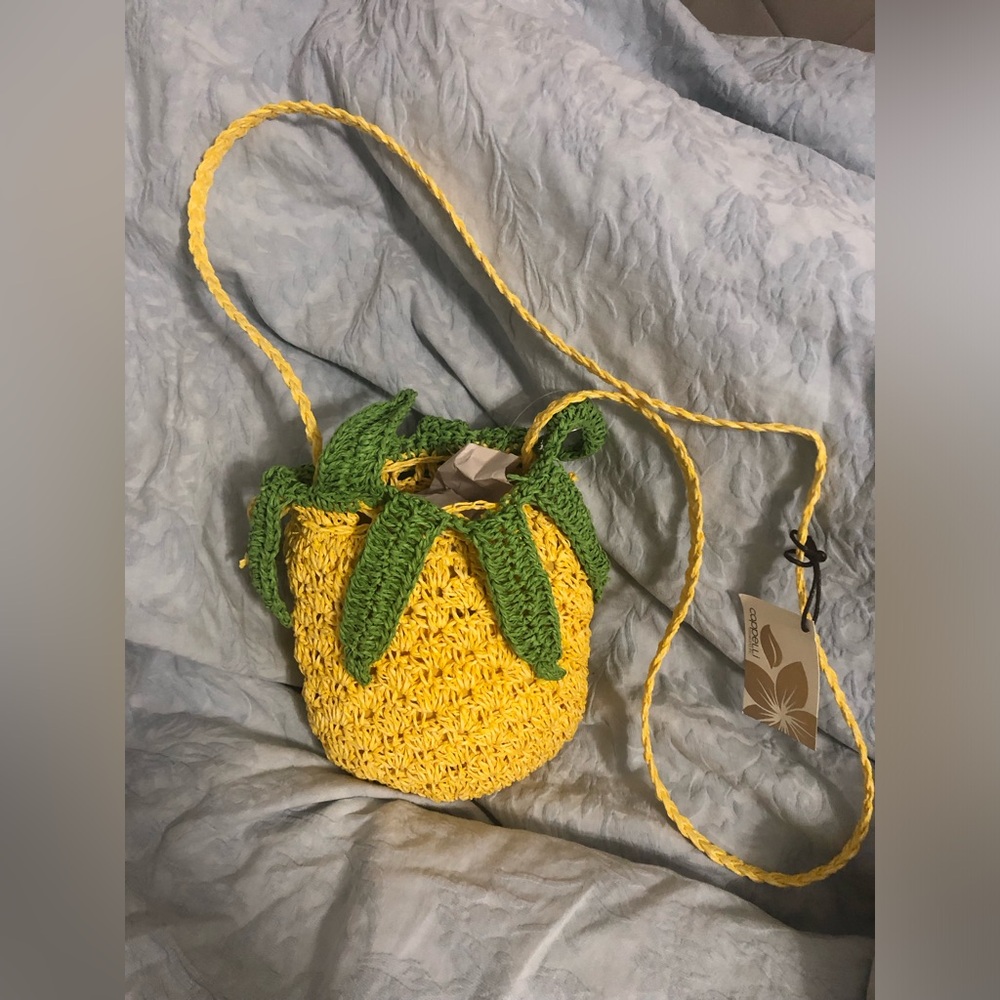 New super cute Pineapple Bag.
